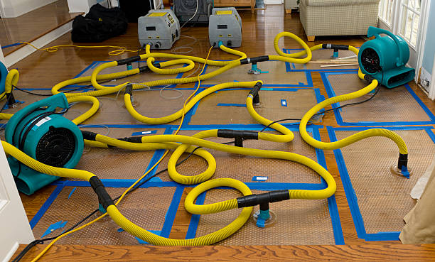 Professional Storm Water Damage Restoration technician working in Loxahatchee, FL